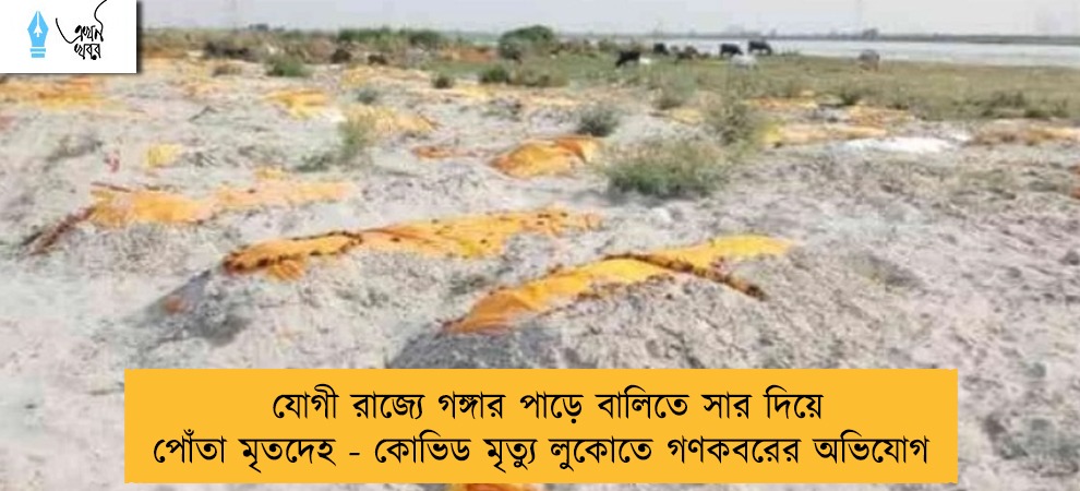 যোগী রাজ্যে গঙ্গার পাড়ে বালিতে সার দিয়ে পোঁতা মৃতদেহ - কোভিড মৃত্যু লুকোতে গণকবরের অভিযোগ