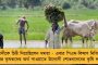 ভোট পরবর্তী হিংসার বলি? – ২ দিন নিখোঁজ থাকার পর রামপুরহাটে উদ্ধার তৃণমূল কর্মীর মৃতদেহ