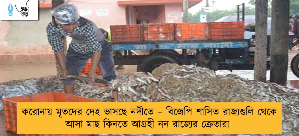 করোনায় মৃতদের দেহ ভাসছে নদীতে – বিজেপি শাসিত রাজ্যগুলি থেকে আসা মাছ কিনতে আগ্রহী নন রাজ্যের ক্রেতারা