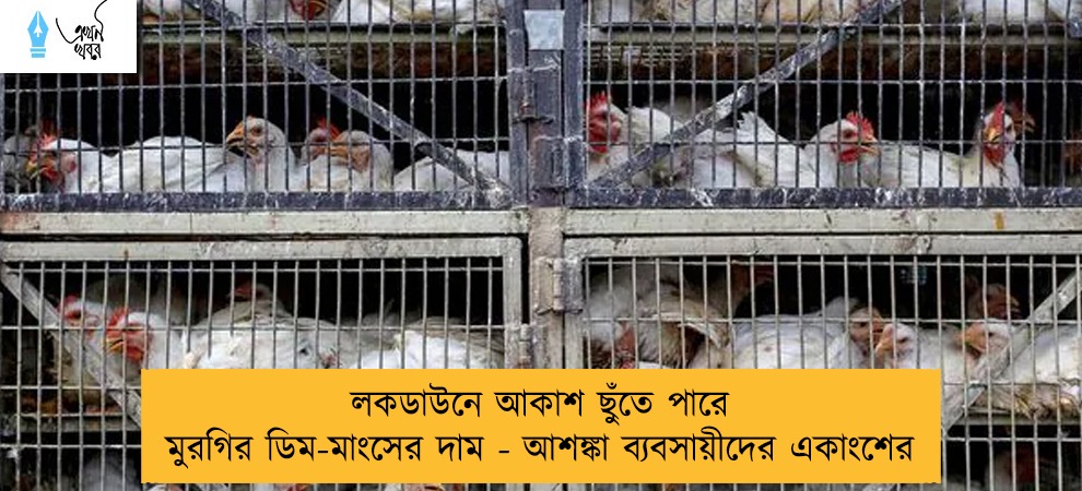 লকডাউনে আকাশ ছুঁতে পারে মুরগির ডিম-মাংসের দাম - আশঙ্কা ব্যবসায়ীদের একাংশের