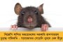 নারদ কাণ্ডে সিবিআই চার্জশিটের শিরোনামেই বিজেপি নেতা মুকুল রায়ের নাম – তবুও গ্রেফতার নয় কেন? উঠছে প্রশ্ন