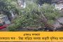 'ও শুধু মমতার নামে কটু শব্দ ব্যবহার করে নেতা হয়েছে' - অধীরকে একহাত নিলেন শীর্ষ কংগ্রেস নেতা