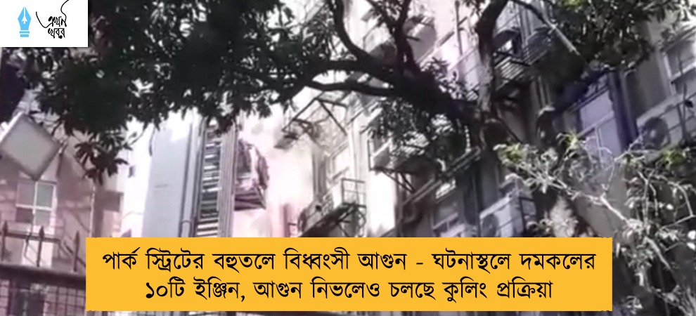 পার্ক স্ট্রিটের বহুতলে বিধ্বংসী আগুন - ঘটনাস্থলে দমকলের ১০টি ইঞ্জিন, আগুন নিভলেও চলছে কুলিং প্রক্রিয়া
