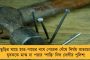 দেশে দৈনিক আক্রান্ত ফের ২ লক্ষ ছাড়াল - ২৪ ঘন্টায় মৃত্যু ৪ হাজারের কম, সুস্থও ২ লক্ষ ৮৩ হাজার