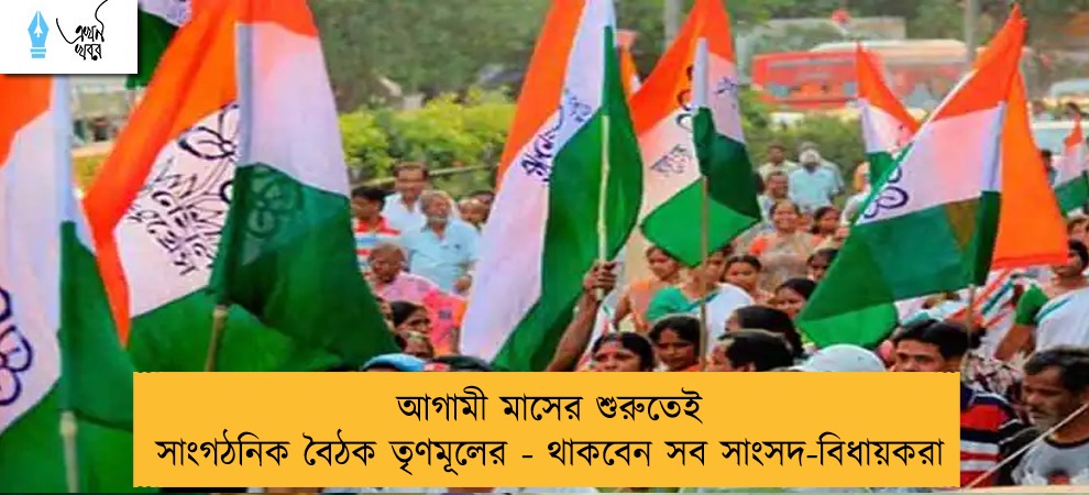 আগামী মাসের শুরুতেই সাংগঠনিক বৈঠক তৃণমূলের - থাকবেন সব সাংসদ-বিধায়করা