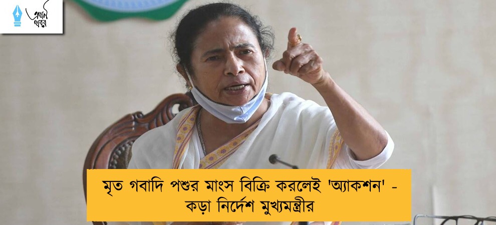 মৃত গবাদি পশুর মাংস বিক্রি করলেই 'অ্যাকশন' - কড়া নির্দেশ মুখ্যমন্ত্রীর