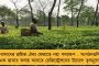 রয়েছে মহিলা যোগও - কুস্তিগীর সাগর রানা হত্যাকাণ্ডের তদন্তে নয়া মোড়