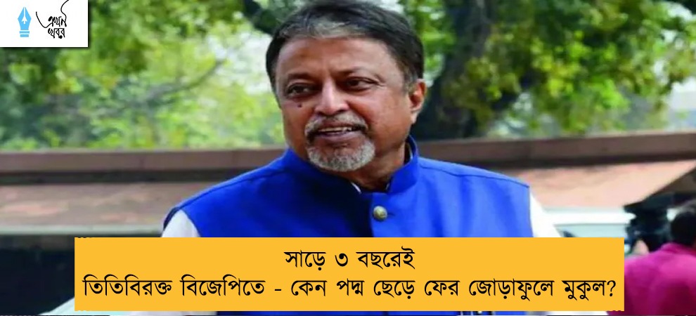 সাড়ে ৩ বছরেই তিতিবিরক্ত বিজেপিতে - কেন পদ্ম ছেড়ে ফের জোড়াফুলে মুকুল?