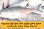 একুশের যুদ্ধজয়ের পর পুরভোটেও স্বচ্ছ ভাবমূর্তি ধরে রাখতে কঠোর তৃণমূল - প্রার্থী বাছাইয়ে আসতে পারে আমূল বদল