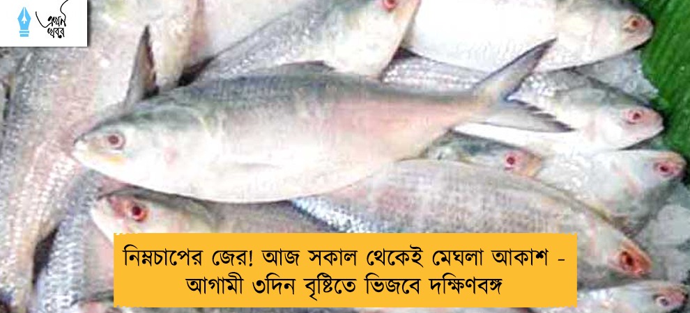 নিম্নচাপের জের! আজ সকাল থেকেই মেঘলা আকাশ - আগামী ৩দিন বৃষ্টিতে ভিজবে দক্ষিণবঙ্গ