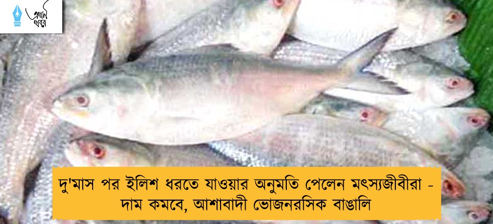 দু'মাস পর ইলিশ ধরতে যাওয়ার অনুমতি পেলেন মৎস্যজীবীরা - দাম কমবে, আশাবাদী ভোজনরসিক বাঙালি