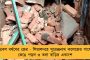 বিজেপির পক্ষে একগুচ্ছ মামলা লড়েছেন কৌশিক চন্দ! - তালিকা প্রকাশ করে ডেরেকের প্রশ্ন, কাকতালীয়?