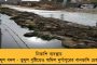 'বেসুরো' দলবদলু নেতাদের শাস্তি দিচ্ছে না কেন দল? - প্রশ্ন বিজেপির 'আদি' শিবিরের