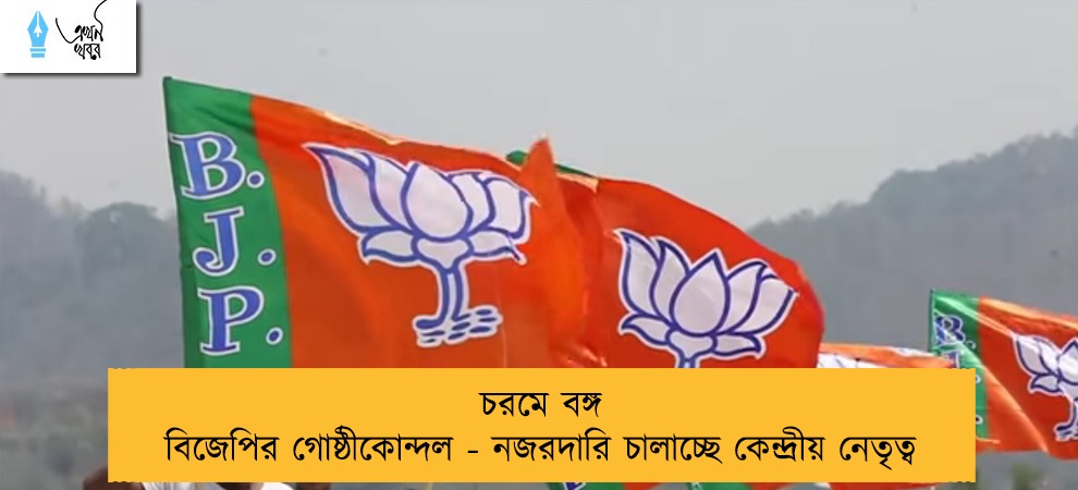চরমে বঙ্গ বিজেপির গোষ্ঠীকোন্দল - নজরদারি চালাচ্ছে কেন্দ্রীয় নেতৃত্ব