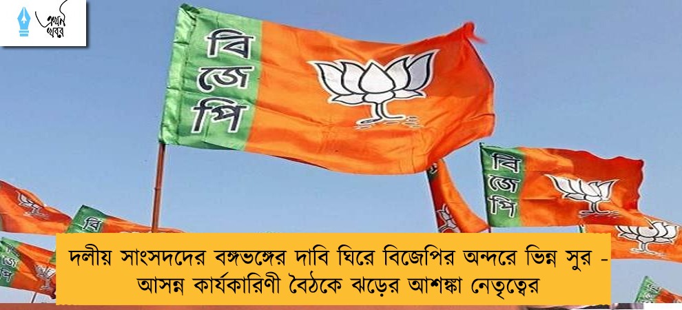 দলীয় সাংসদদের বঙ্গভঙ্গের দাবি ঘিরে বিজেপির অন্দরে ভিন্ন সুর - আসন্ন কার্যকারিণী বৈঠকে ঝড়ের আশঙ্কা নেতৃত্বের