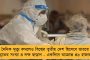 আজ কোপার কোয়ার্টারে মুখোমুখি ব্রাজিল-চিলি - ম্যাচ জিততে মরিয়া নেইমাররা