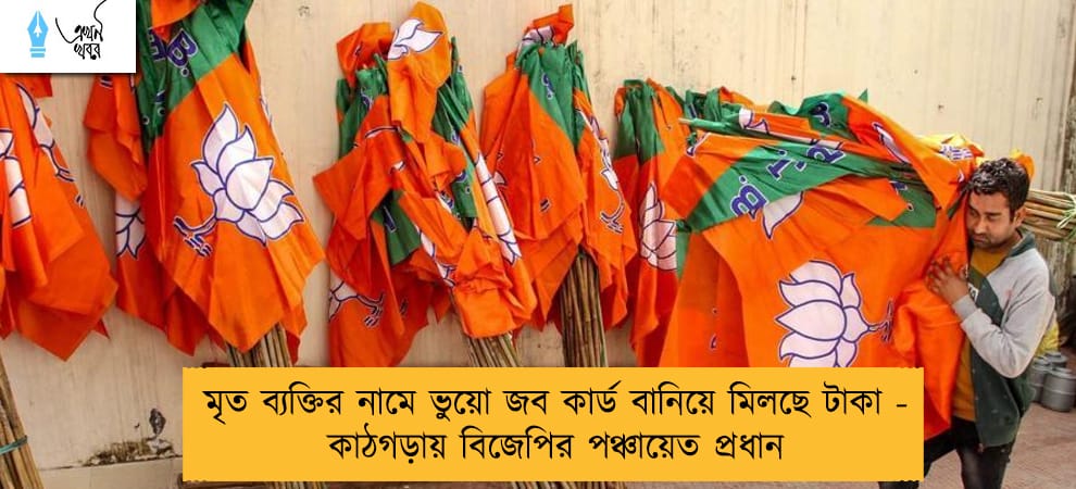মৃত ব্যক্তির নামে ভুয়ো জব কার্ড বানিয়ে মিলছে টাকা - কাঠগড়ায় বিজেপির পঞ্চায়েত প্রধান