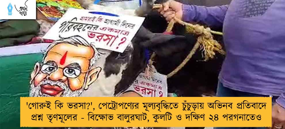 'গোরুই কি ভরসা?', পেট্রোপণ্যের মূল্যবৃদ্ধিতে চুঁচুড়ায় অভিনব প্রতিবাদে প্রশ্ন তৃণমূলের - বিক্ষোভ বালুরঘাট, কুলটি ও দক্ষিণ ২৪ পরগনাতেও