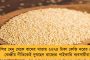 কোনও বাংলাদেশি ভারতের মন্ত্রী হতে পারেন না - নিশীথের নাগরিকত্ব নিয়ে কেন্দ্রকে তোপ ডেরেকের