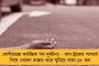 পছন্দের ঠিকাদারকে কাজ পাইয়ে দেওয়ায় প্রধানের বিরুদ্ধে অনাস্থা - পঞ্চায়েত হাতছাড়া হওয়ার পথে বিজেপির!