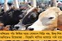 হঠাৎই পেটে ব্যথা নিয়ে হাসপাতালে ভর্তি স্নেহাশিস গঙ্গোপাধ্যায় - ফোনে দাদার খোঁজ নিলেন সৌরভ