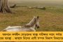 রাহুল গান্ধীর অ্যাকাউন্ট ‘আনব্লক’ করল টুইটার, ফিরল কংগ্রেসের অফিসিয়াল হ্যান্ডেলও – হাতশিবির বলল, ‘সত্যের জয়’