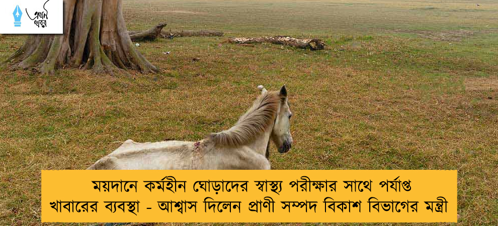 ময়দানে কর্মহীন ঘোড়াদের স্বাস্থ্য পরীক্ষার সাথে পর্যাপ্ত খাবারের ব্যবস্থা - আশ্বাস দিলেন প্রাণী সম্পদ বিকাশ বিভাগের মন্ত্রী