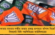 কলকাতায় মমতার লক্ষ্মীর ভাণ্ডার প্রকল্প রূপায়নে ঝাঁপাল বিজেপি – লিফলেট বিলি পদ্মশিবিরের কাউন্সিলারের