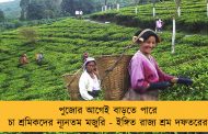 পুজোর আগেই বাড়তে পারে চা শ্রমিকদের ন্যূনতম মজুরি - ইঙ্গিত রাজ্য শ্রম দফতরের
