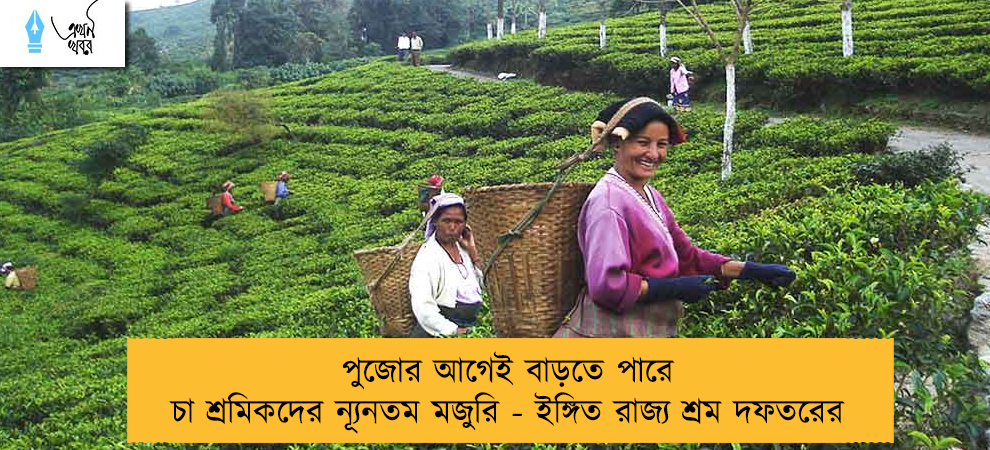 পুজোর আগেই বাড়তে পারে চা শ্রমিকদের ন্যূনতম মজুরি - ইঙ্গিত রাজ্য শ্রম দফতরের