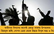 স্বাধীনতা দিবসের আগেই জোড়া সাফল্য উপত্যকায় - ধৃত হিজবুল জঙ্গি, গোপন ডেরা থেকে উদ্ধার বিপুল অস্ত্র ও বিস্ফোরক