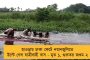 সংসদে ফের বিরোধী ঐক্যের ছবি - রাহুলের ডাকে বৈঠকে হাজির তৃণমূল-সহ ১৪ দল