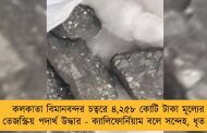 কলকাতা বিমানবন্দর চত্বরে ৪,২৫৮ কোটি টাকা মূল্যের তেজস্ক্রিয় পদার্থ উদ্ধার - ক্যালিফোর্নিয়াম বলে সন্দেহ, ধৃত ২