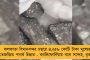 বন্যাতেও থমকে নেই প্রকল্পের কাজ - পরিষেবা দিতে নৌকা করে 'দুয়ারে সরকার'