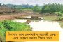 তথ্য-প্রযুক্তি নির্ভর শিল্প বাড়াতে উদ্যোগী রাজ্য - জানালেন পার্থ