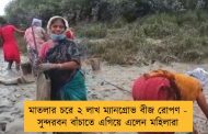 মাতলার চরে ২ লাখ ম্যানগ্রোভ বীজ রোপণ - সুন্দরবন বাঁচাতে এগিয়ে এলেন মহিলারা
