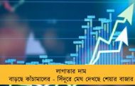 লাগাতার দাম বাড়ছে কাঁচামালের - সিঁদূরে মেঘ দেখছে শেয়ার বাজার