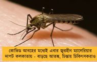 কোভিড আবহের মধ্যেই এবার জ্বরহীন ম্যালেরিয়ার দাপট কলকাতায় - বাড়ছে আতঙ্ক, চিন্তায় চিকিৎসকরাও