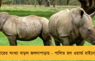 গন্ডারের সংখ্যা বাড়ল জলদাপাড়ায় - পালিত হল ওয়ার্ল্ড রাইনো ডে
