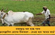 রাজ্যজুড়ে শুরু হচ্ছে গরুর ব্রুসেল্লোসিস রোগের টিকাকরণ - দেওয়া হবে 'আধার কার্ড'ও