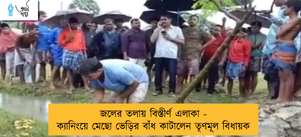 জলের তলায় বিস্তীর্ণ এলাকা - ক্যানিংয়ে মেছো ভেড়ির বাঁধ কাটালেন তৃণমূল বিধায়ক