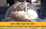 অনন্য নজির গড়ার পথে বাংলা - প্রথমবার কলকাতার হাসপাতালে হতে চলেছে ফুসফুস প্রতিস্থাপন