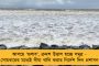 আসন্ন লোকসভা নির্বাচনে বিজেপিকে ক্ষমতাচ্যুত করতে মমতাকে সমর্থন করবে হামরো সিকিম - জানালেন বাইচুং