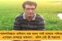 টিট ফর ট্যাট! - ইট মারলে পাটকেল খেতে হয়, পন্থের বদলা নিয়ে বুঝিয়ে দিলেন কোহলী
