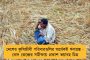 ত্রিপুরায় অভিষেকের মিছিলে যোগ দিতে পারেন বহু বিজেপি বিধায়ক – ভাঙনের আশঙ্কায় কাঁপছে বিপ্লব গড়