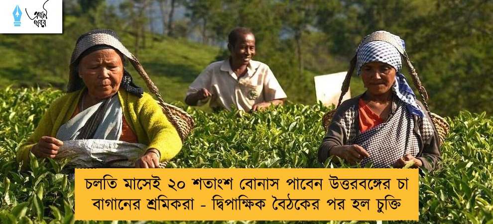 চলতি মাসেই ২০ শতাংশ বোনাস পাবেন উত্তরবঙ্গের চা বাগানের শ্রমিকরা - দ্বিপাক্ষিক বৈঠকের পর হল চুক্তি