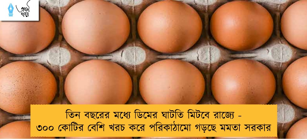 তিন বছরের মধ্যে ডিমের ঘাটতি মিটবে রাজ্যে - ৩০০ কোটির বেশি খরচ করে পরিকাঠামো গড়ছে মমতা সরকার