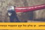 সাংসদ পদে ছেড়ে নতুন দায়িত্ব – অর্পিতাকে দলের রাজ্য সাধারণ সম্পাদক করল তৃণমূল