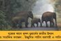 উড়িষ্যার গাঁজা পাচারকারী রোশন মেহেরের সঙ্গে কেন্দ্রীয় মন্ত্রীর ছবি – তোলপাড় সোশ্যাল মিডিয়া