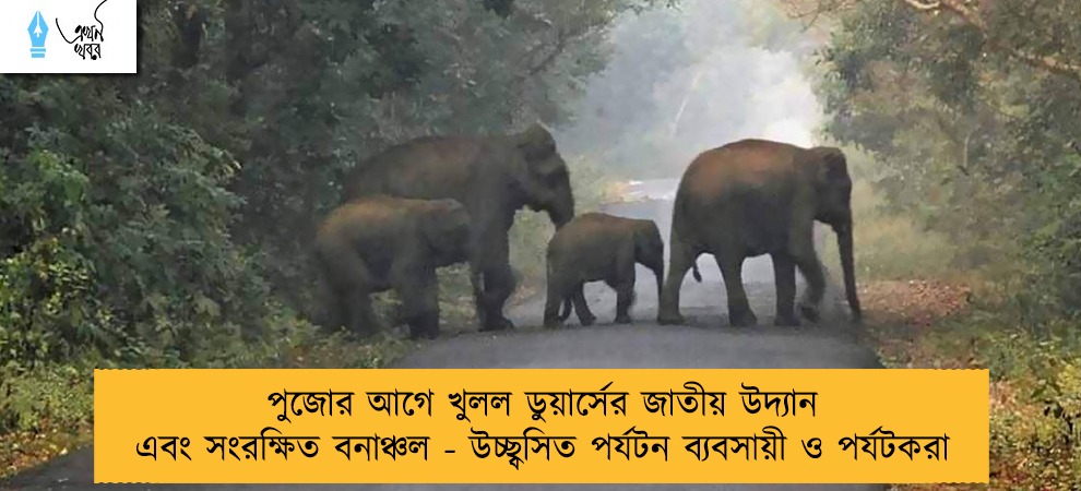পুজোর আগে খুলল ডুয়ার্সের জাতীয় উদ্যান এবং সংরক্ষিত বনাঞ্চল - উচ্ছ্বসিত পর্যটন ব্যবসায়ী ও পর্যটকরা